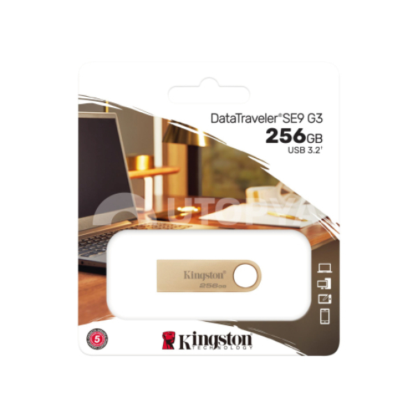 KINGSTON USB-Stick 256GB